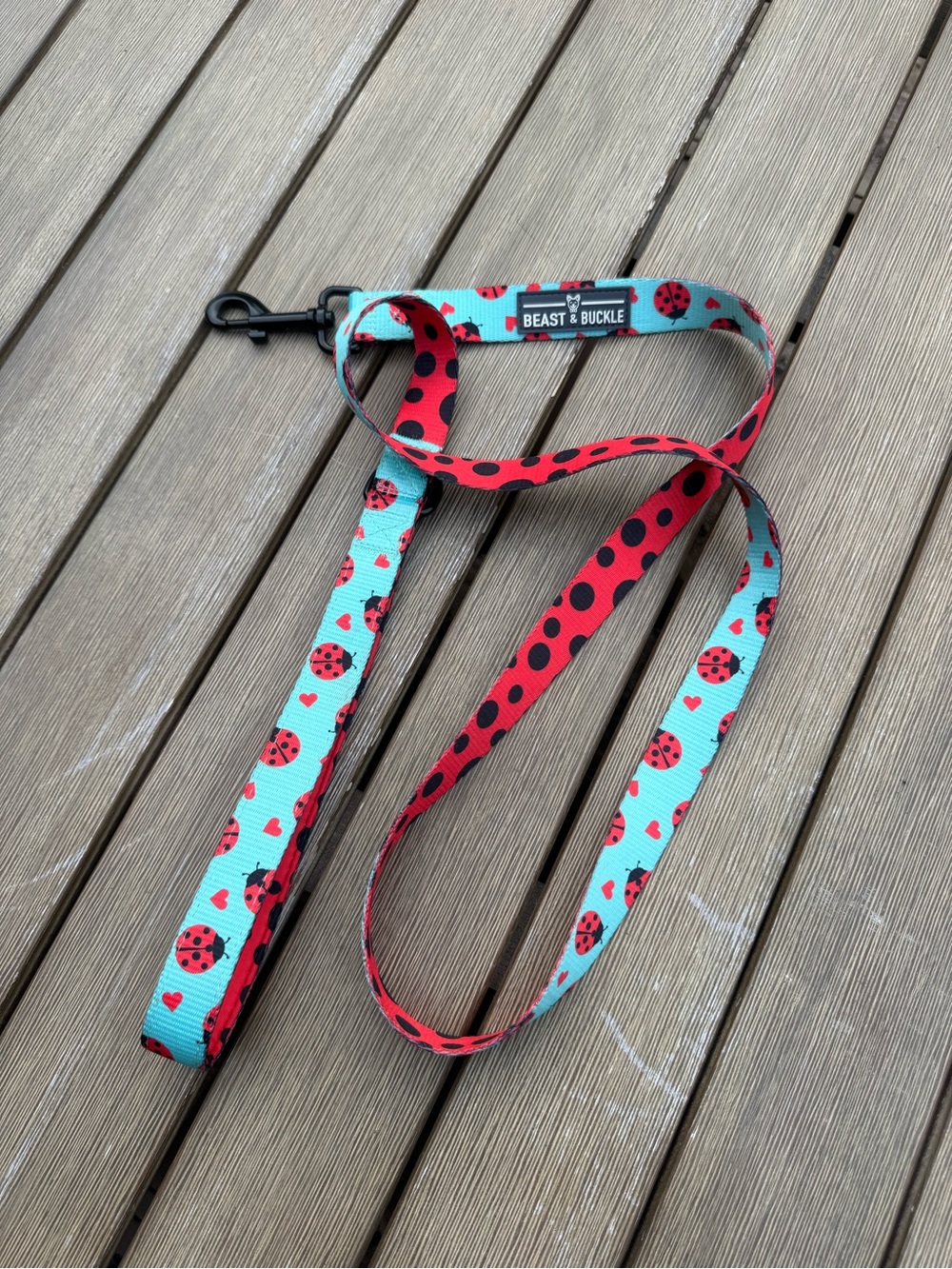 Beast & Buckle Ladybug Dog Leash Turquoise Red Hearts Polka Dot